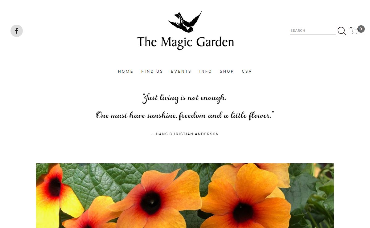 The Magic Garden