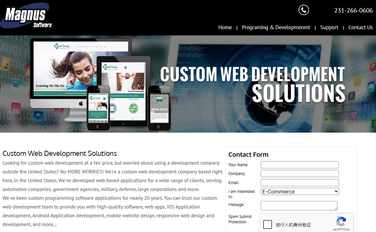 Custom Web Development MICHIGAN