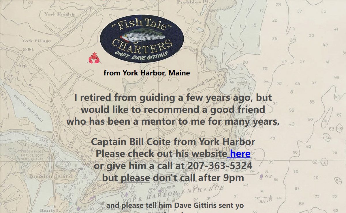 Maine Saltwater Fly Fishing and Light Tackle Guides for Striped Bass, Bluefish, and Juvenile Bluefin Tuna