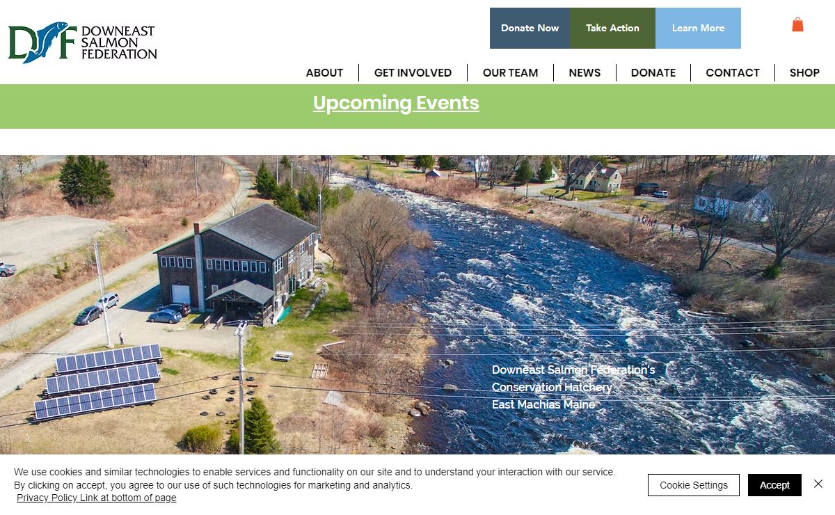 Downeast Salmon Federation | Wild Rivers | Wild Fish