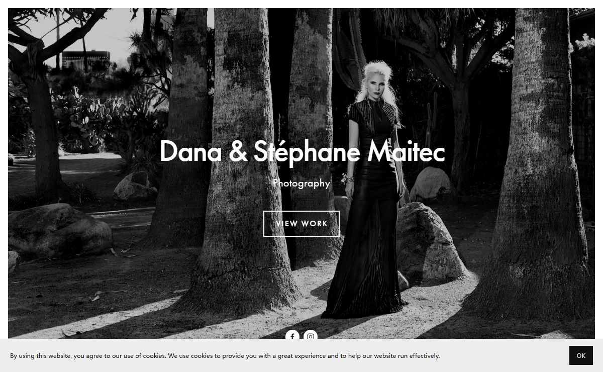 Dana and Stephane Maitec - Photography * Fine art studio portrait and fashion photographer duo in PARIS, FRANCE/ Photographe de mode et portrait