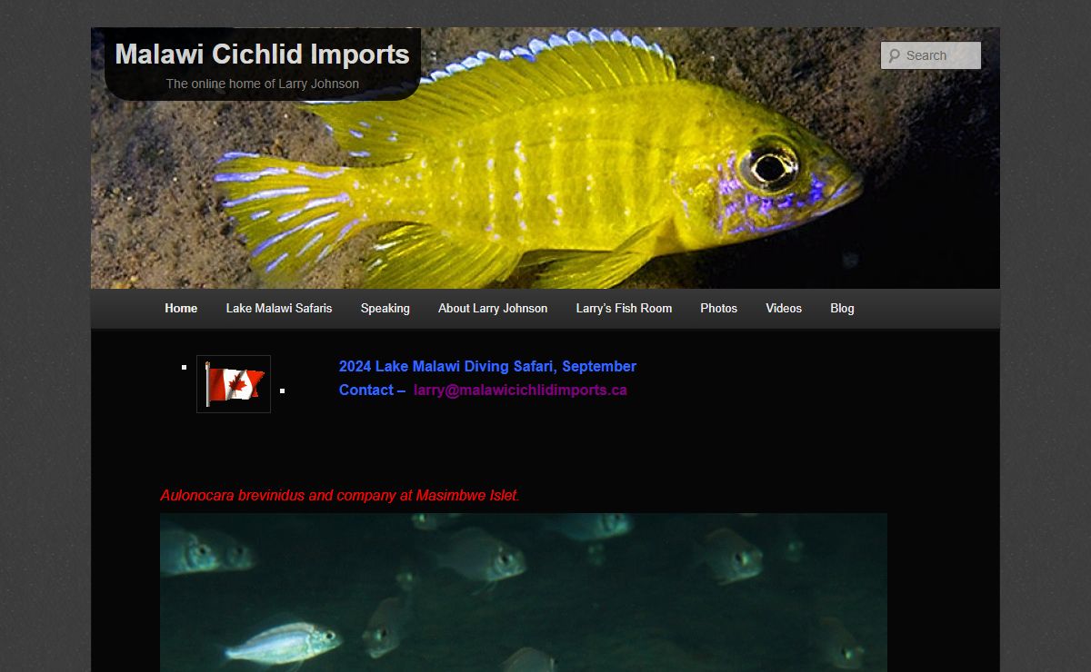 Malawi Cichlid Imports | The online home of Larry Johnson