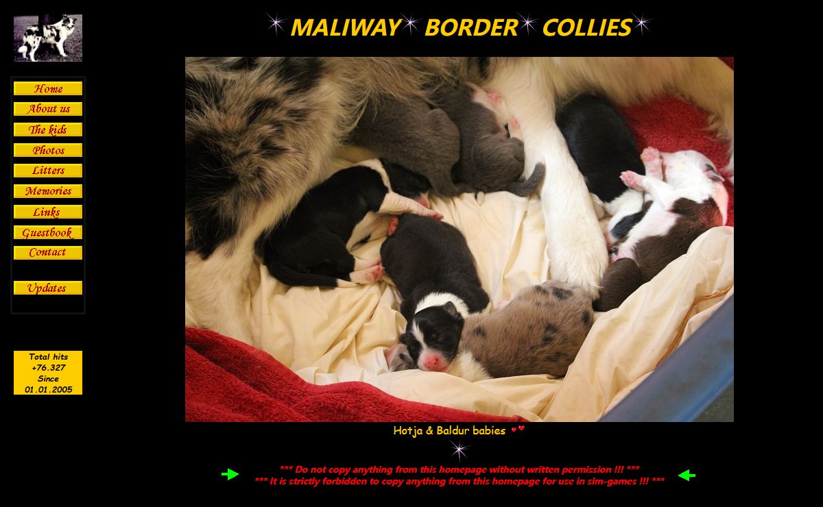 Maliway Border Collies