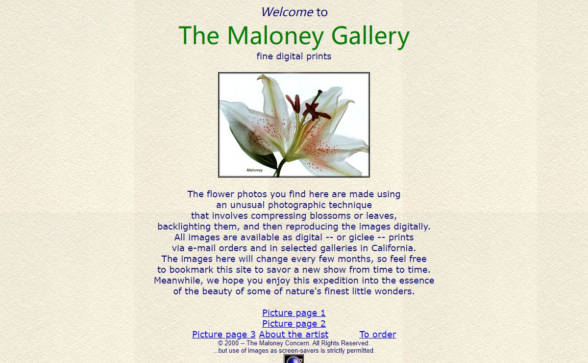 The Maloney Gallery of digital prints -- stop and smell the flowers