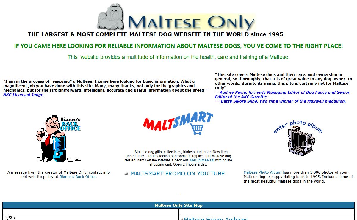 All about Maltese dogs - Maltese Only since 1995