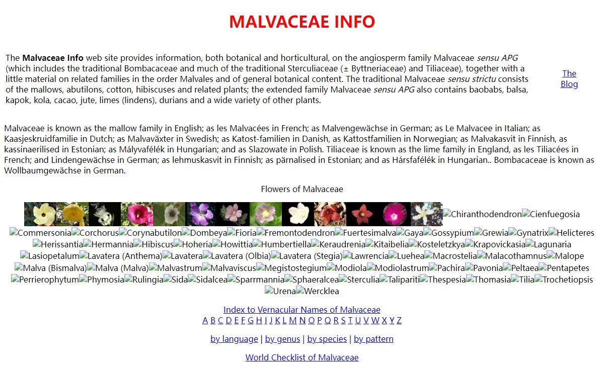 Malvaceae Info