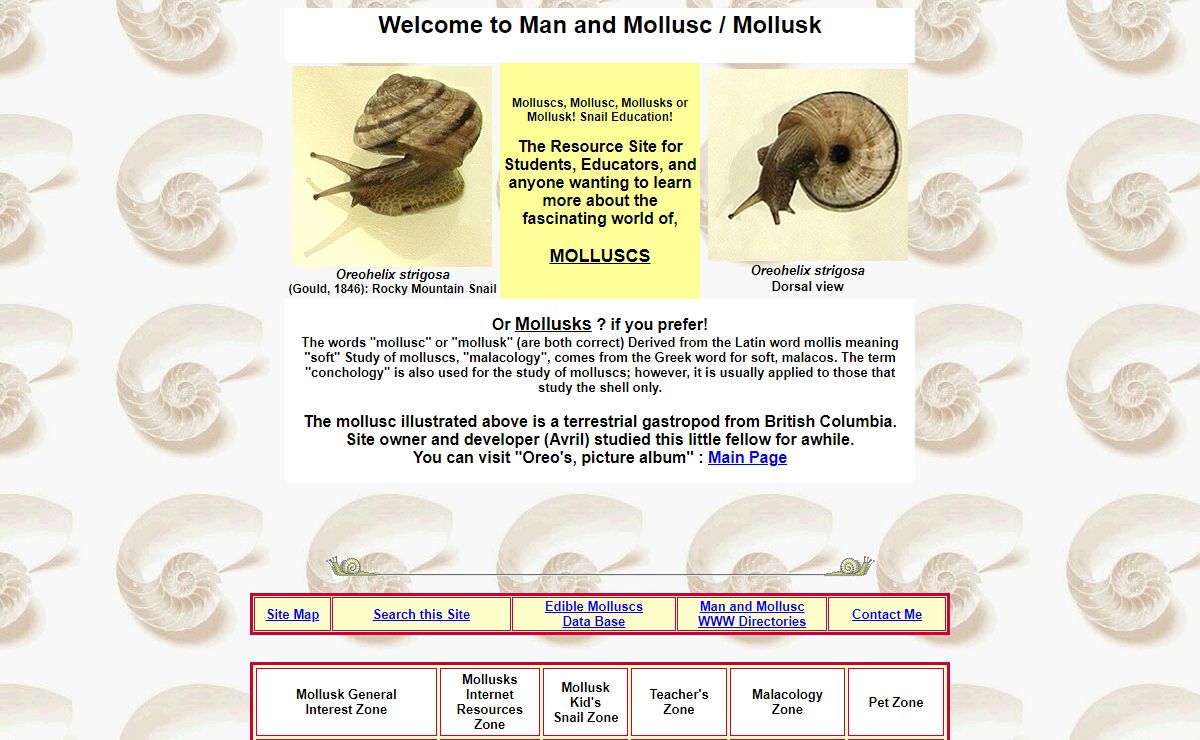 Mollusc Mollusk Mollusks