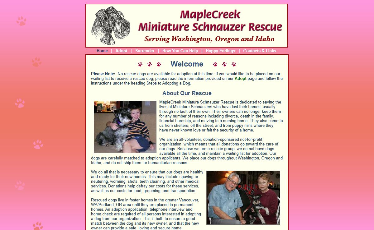 MapleCreek Miniature Schnauzer Rescue - WA, OR & ID