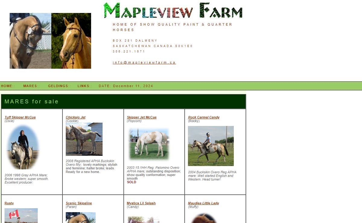 Welcome to Mapleview Farm -Reg. Paint and Quarter Horses