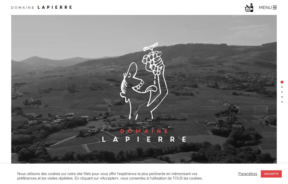 Accueil - Domaine Marcel Lapierre