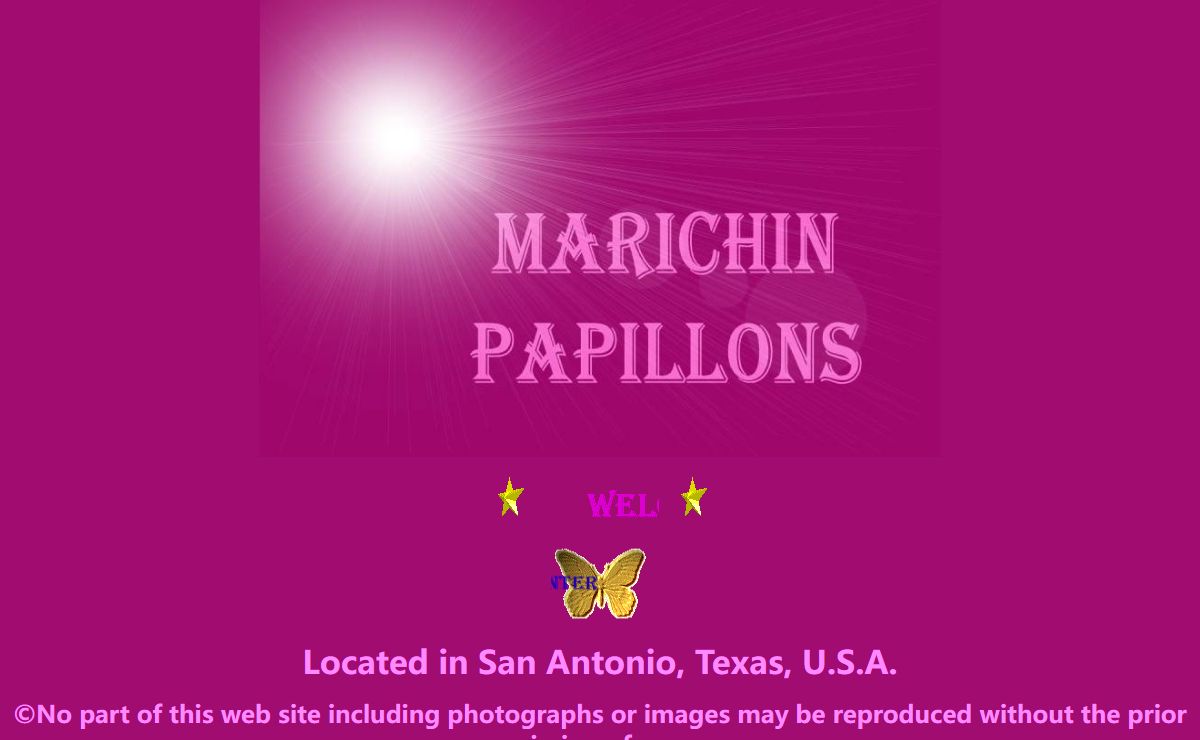 Marichin Papillons Home Page - papillons, papillon dogs