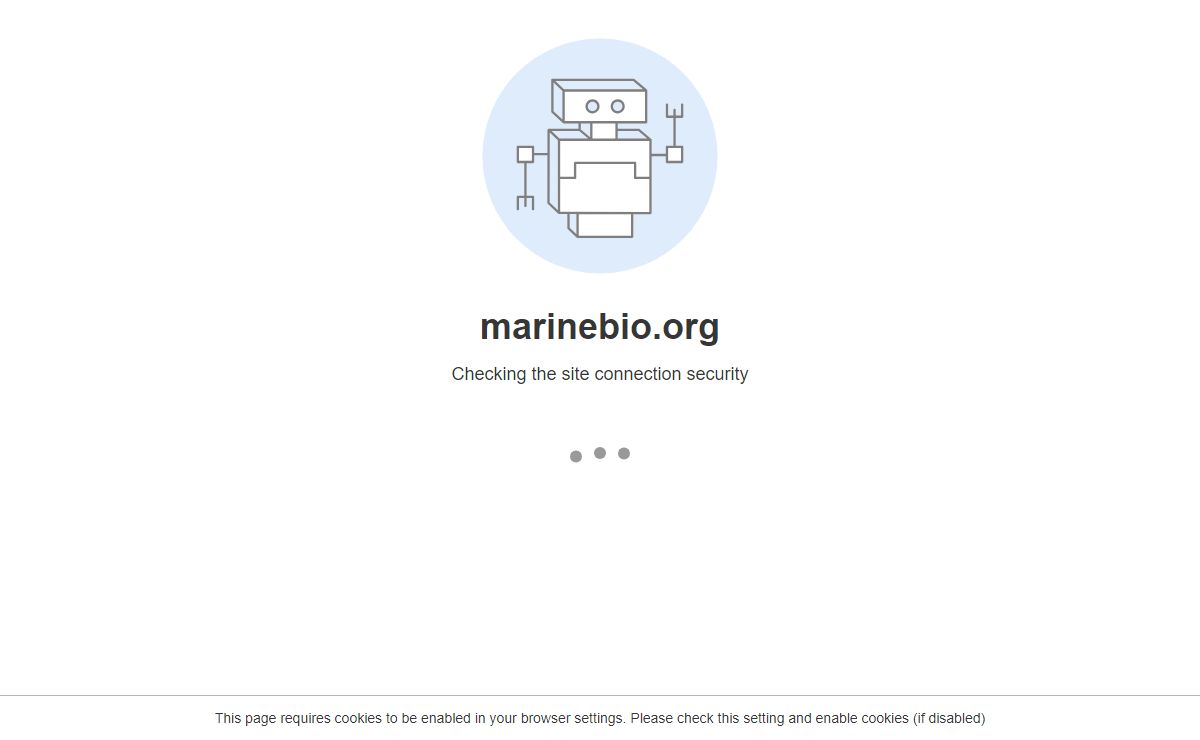 Robot Challenge Screen