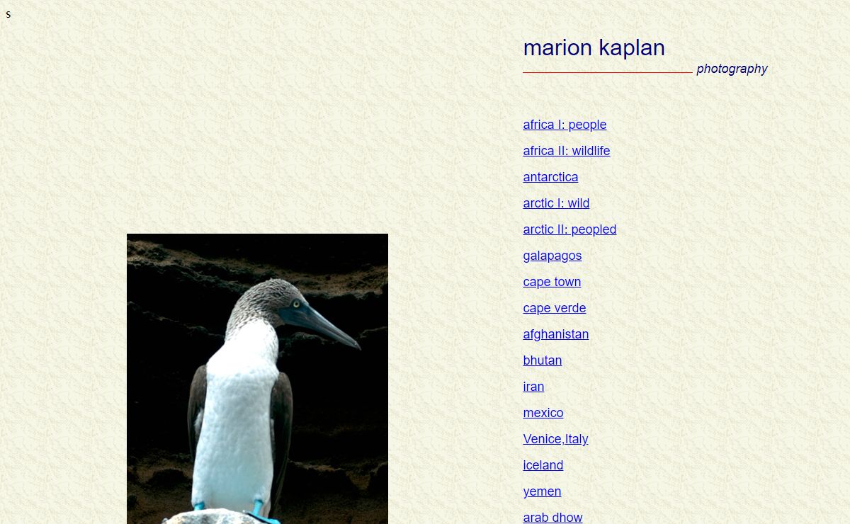 marion kaplan photos
