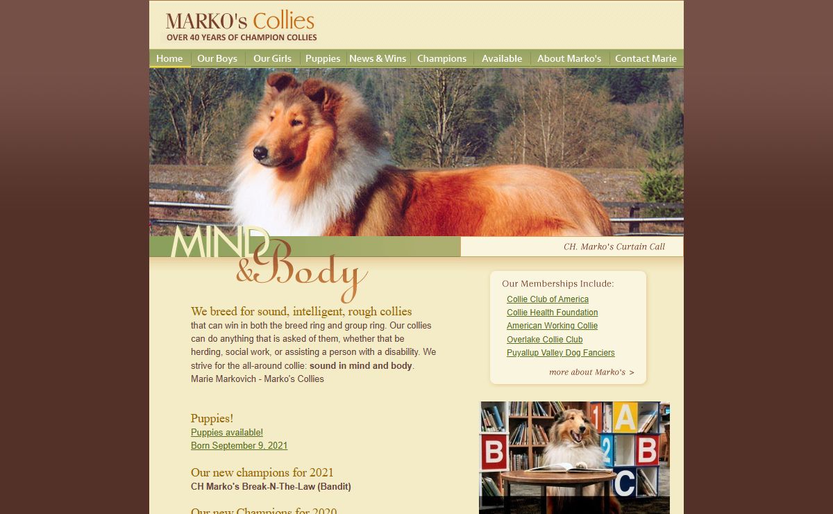 Marko's Collies - Over 40 Years of Champion Rough Collies