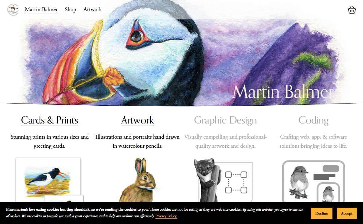 Artist Martin Balmer