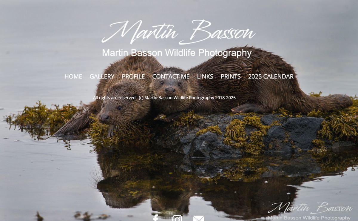 Martin Basson Wildlife Photography