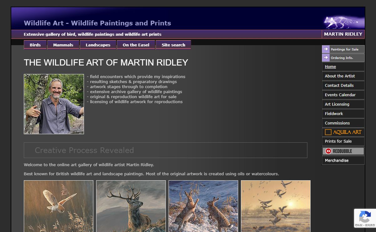 Wildlife art - wildlife paintings by artist Martin Ridley