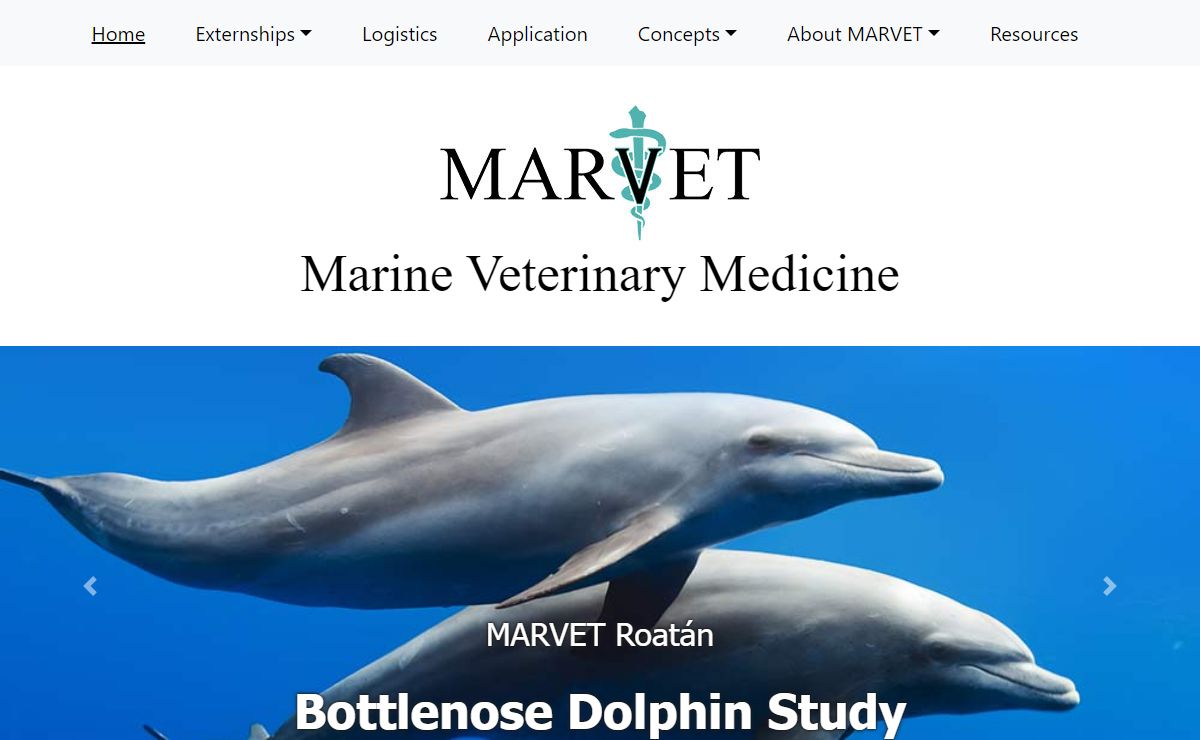 MARVET-Marine Animal Medicine and Conservation Externships