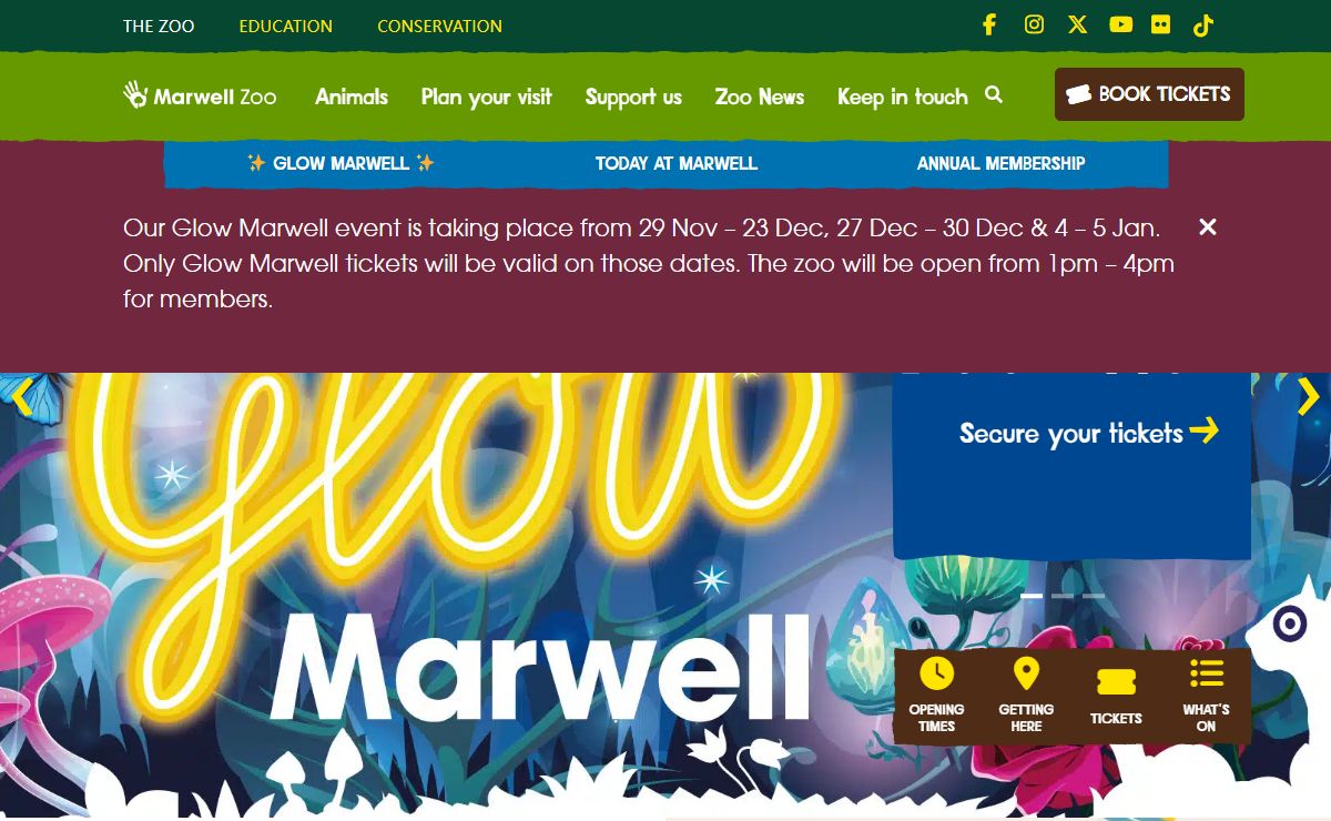 Days out in Hampshire | Family day out near me | Marwell Zoo