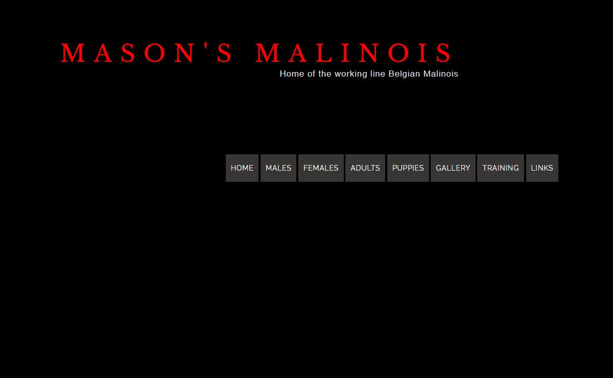 Mason's Malinois
