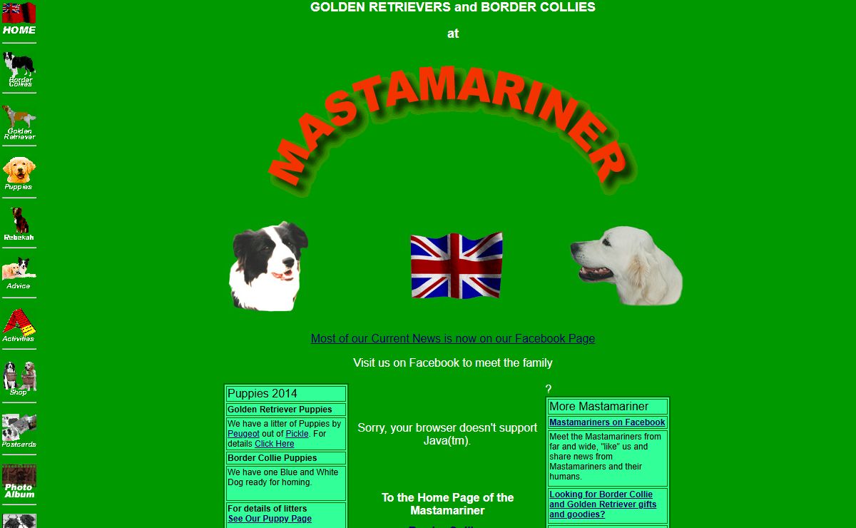 BORDER COLLIES AND GOLDEN RETRIEVERS