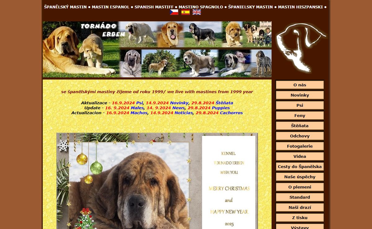 ŠPANĚLSKÝ MASTIN - Ch.s.Tornádo Erben, MASTIN ESPAGNOL, SPANISH MASTIFF, španielsky mastin