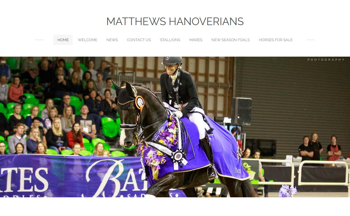 MATTHEWS HANOVERIANS - Matthews Hanoverians Performance horses