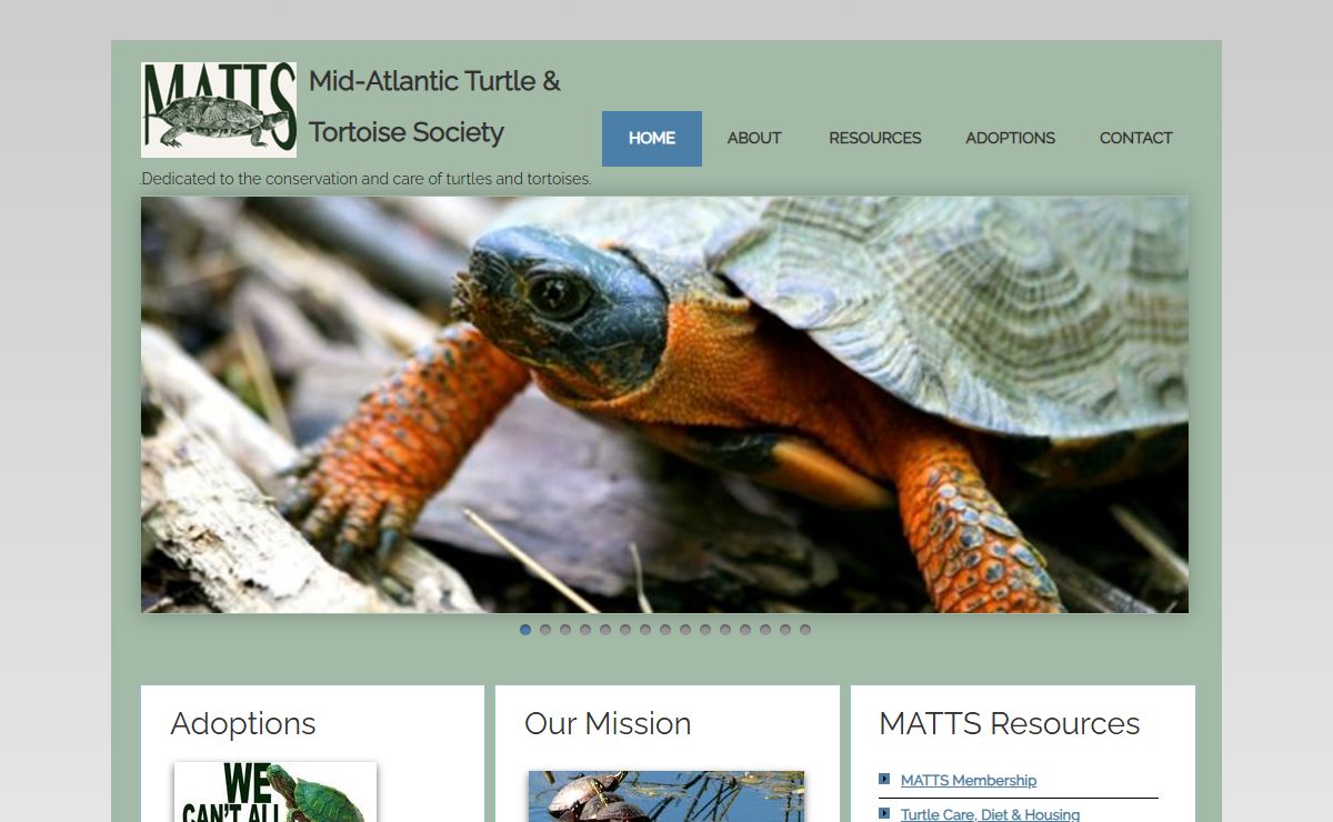 Mid-atlantic Turtle & Tortoise Society - Online
