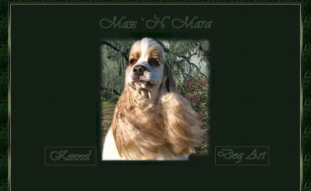 Max`N Mara American Cockers & Dog Art