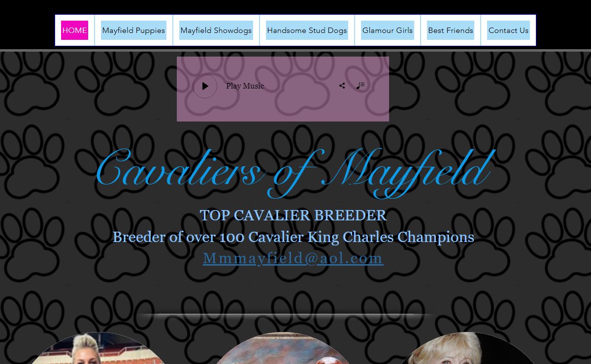 HOME | Mayfieldcavaliers Cavaliers Puppies and Show Dogs