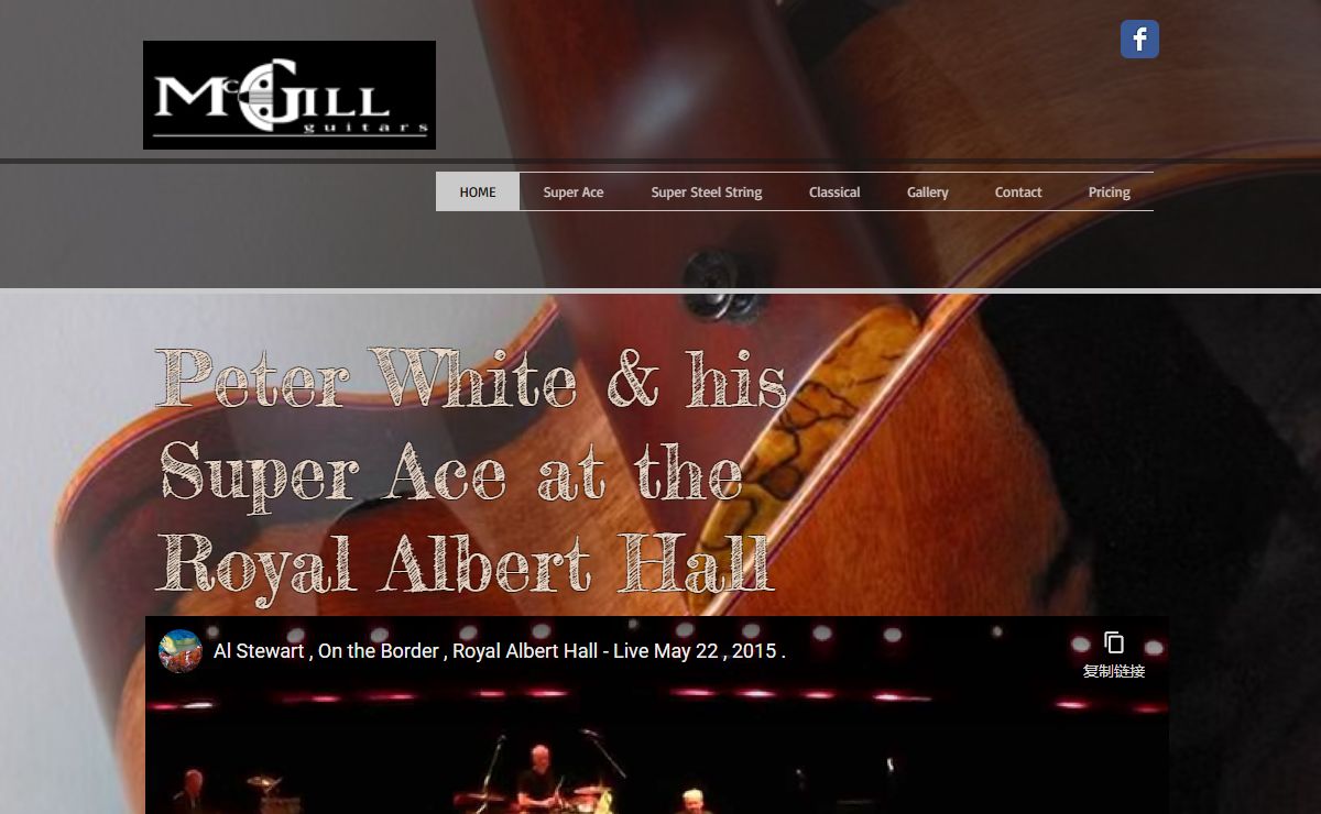McGill Guitars Paul McGill Guitars Guitarmaker