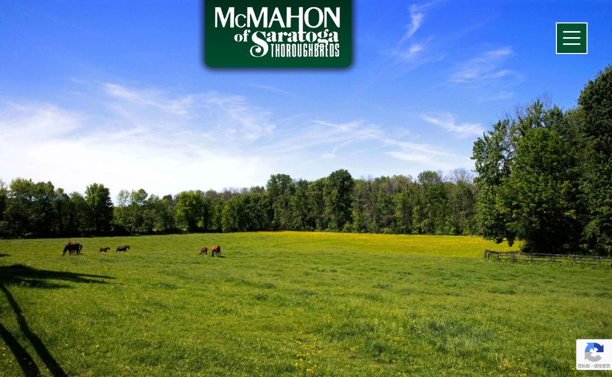 McMahon Thoroughbreds - McMahon of Saratoga Thoroughbreds