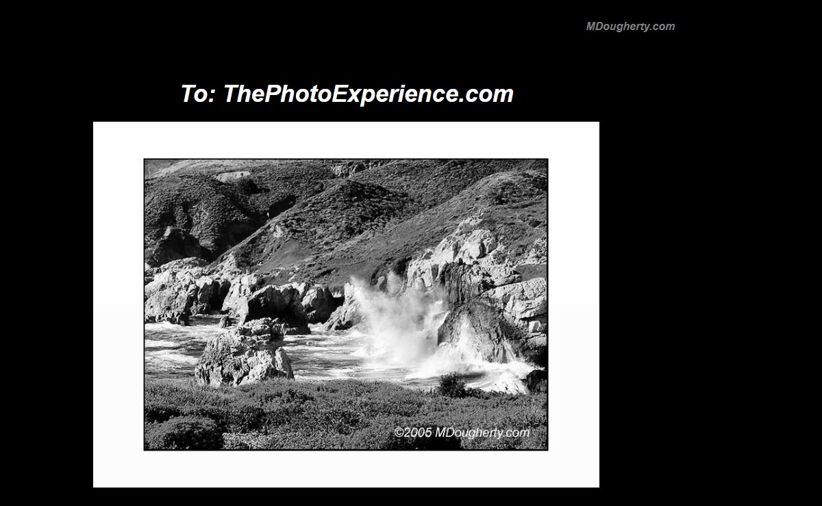 MDougherty, ThePhotoExperience; Nature, Locations, Socal Gardens, Flora, Surfing, Football, Racing, Figure, Images, The Photo Experience