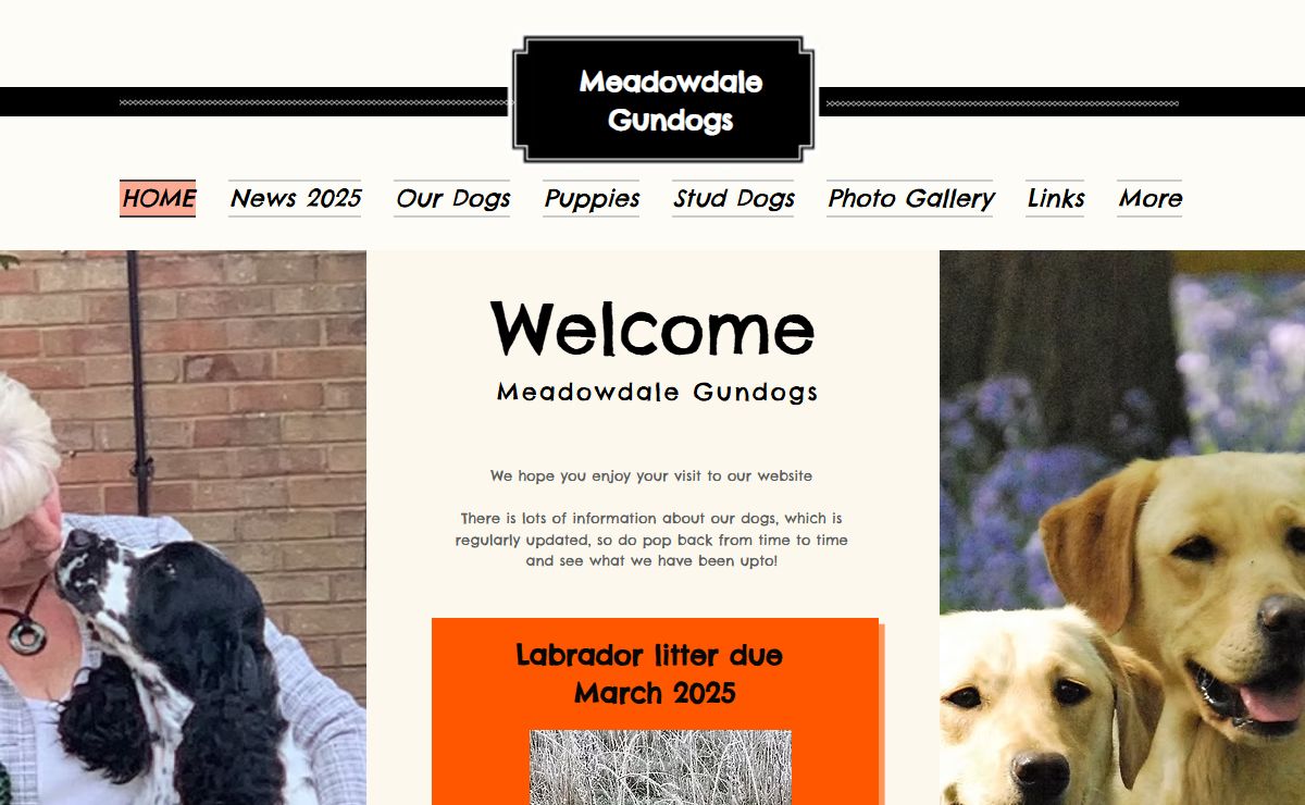 Gundogs | Meadowdale Gundogs