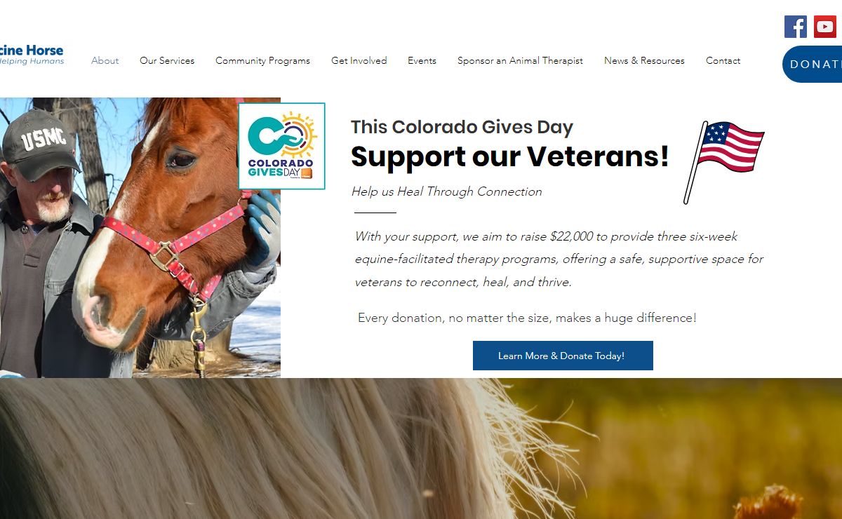 Equine Facilitated Therapy | Medicine Horse | Longmont, Colorado