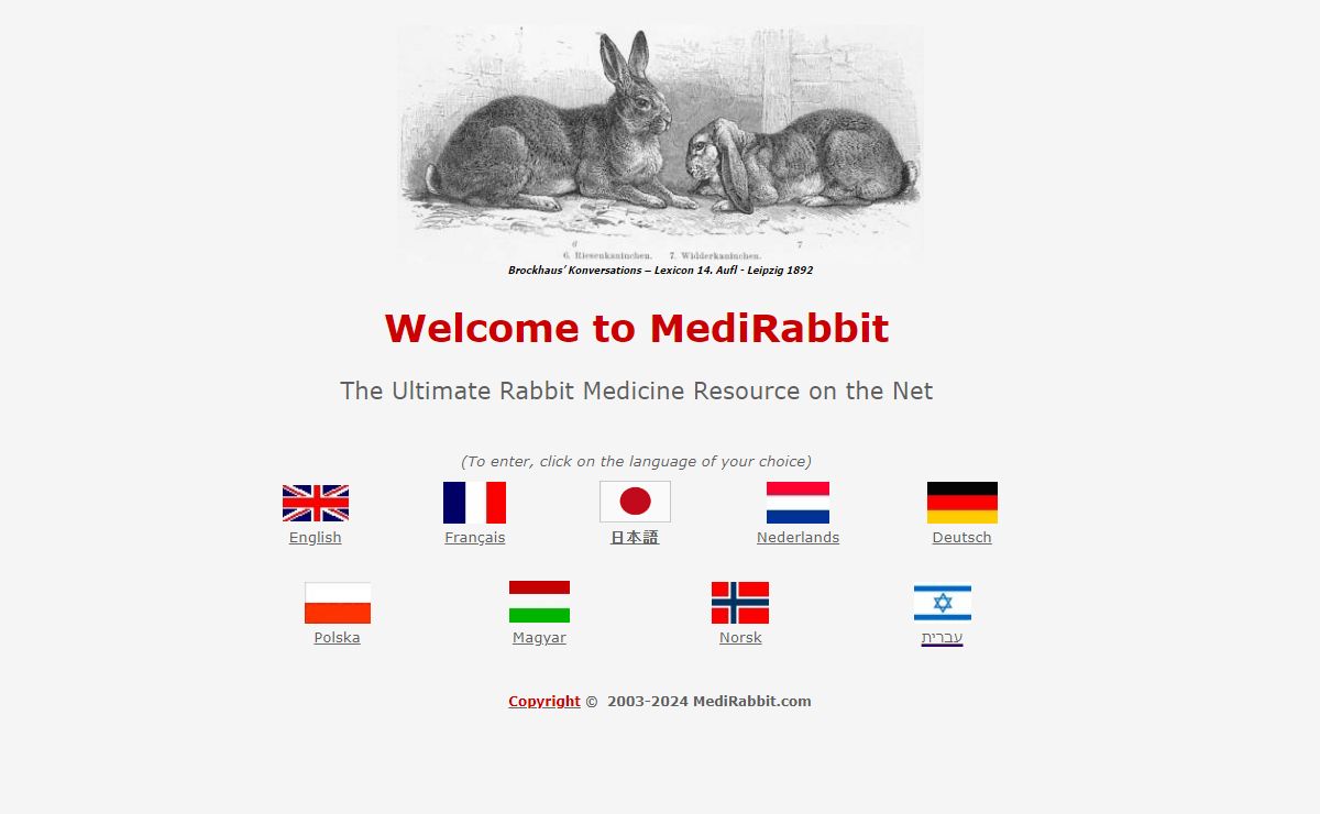 Medirabbit