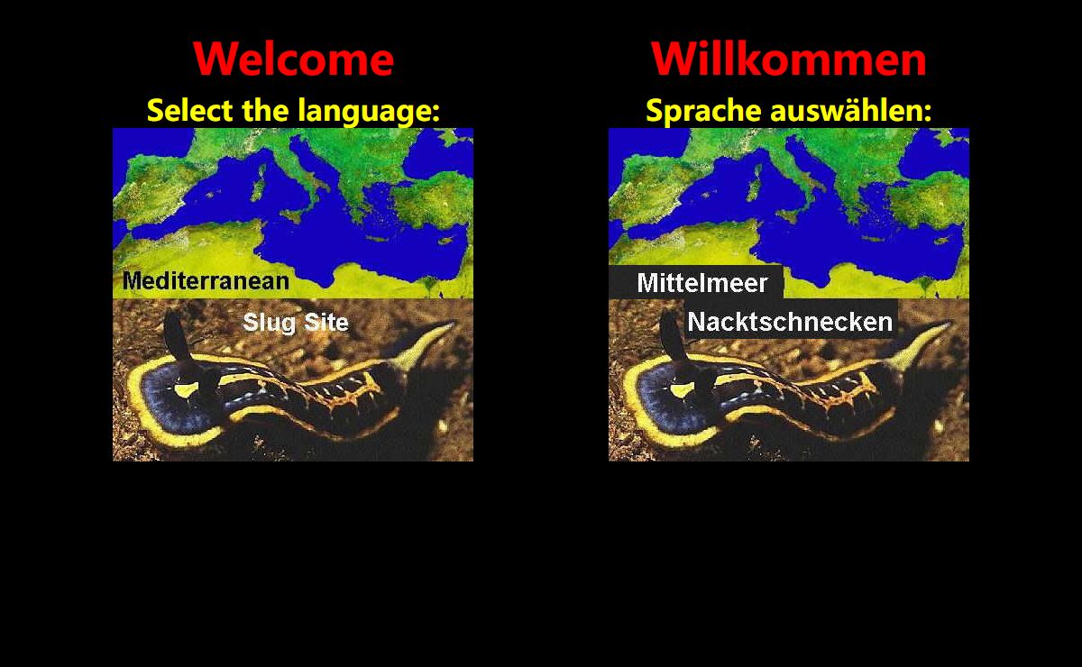 Mediterranean Slug Site