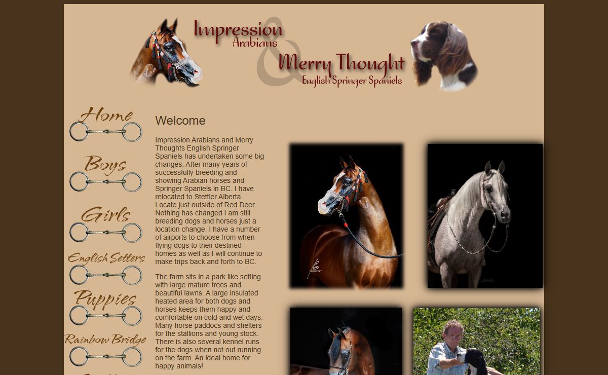 Impression Arabians & Merry Thought English Springer Spaniels Britsh Columbia