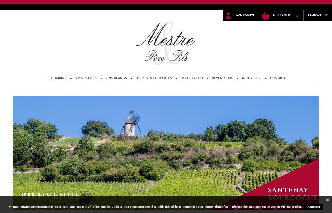 Domaine Mestre Père & Fils - Vin à Santenay - Domaine Mestre Père et Fils