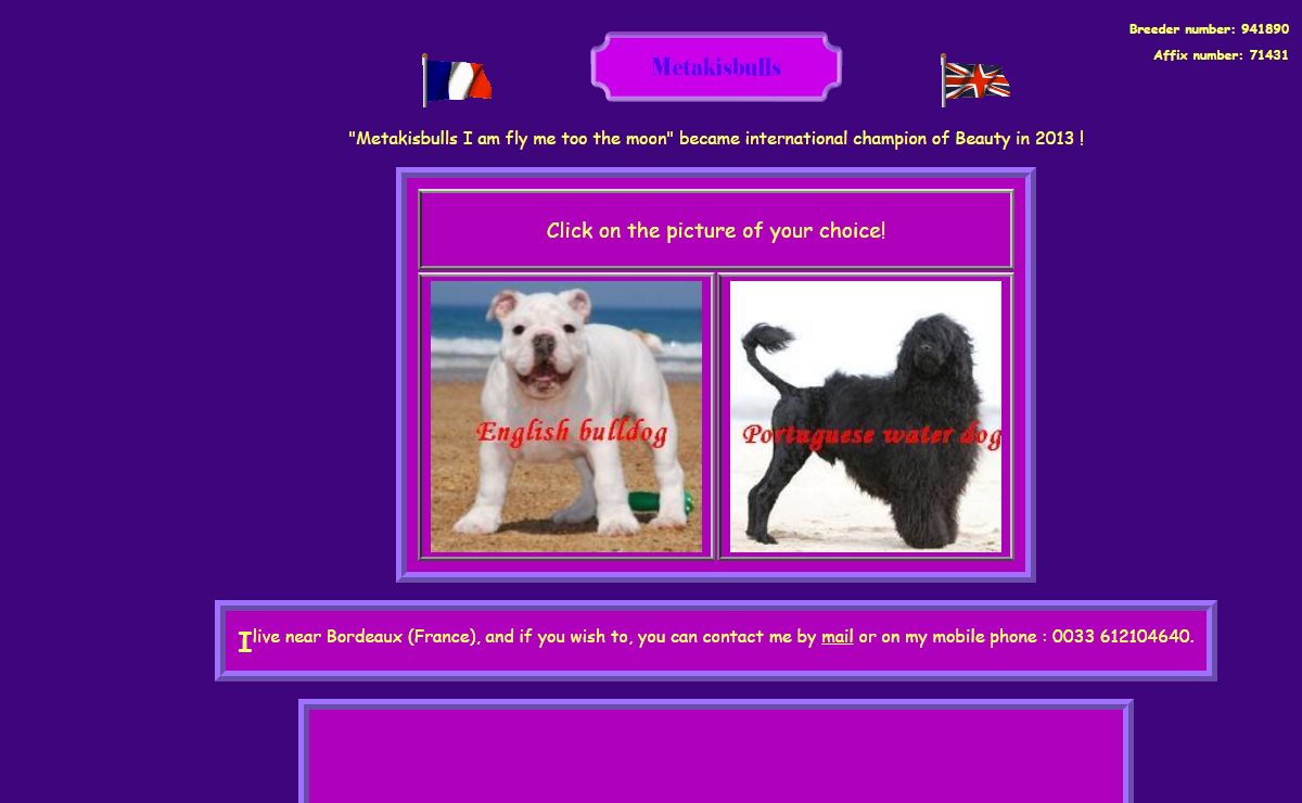 Portuguese water dog breeder, English bulldog breeding : metakisbulls. We live close of Bordeaux in aquitaine, haute gironde (France).
