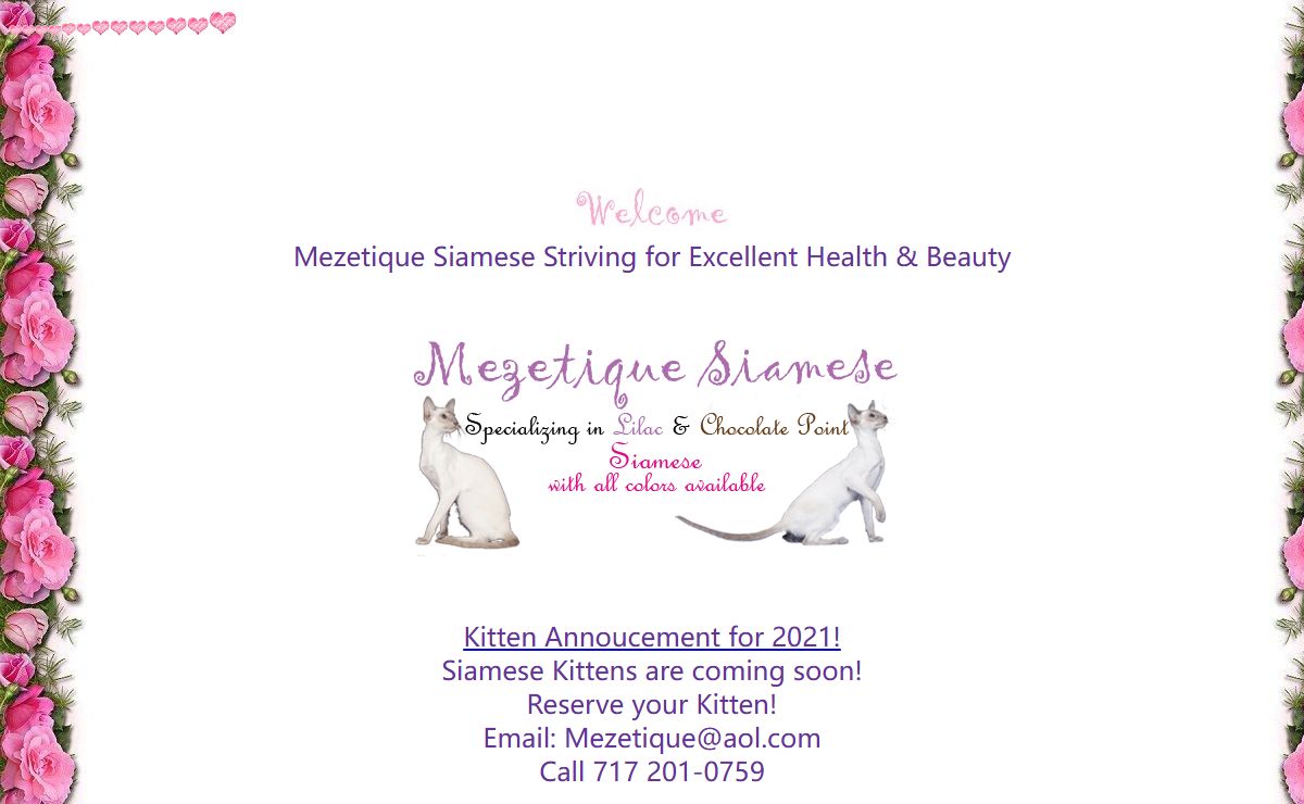 Mezetique: Siamese in Pennsylvania, nearby Delaware, Maryland, New Jersey and New York: Siamese kittens; Siamese cats; CFA Siamese breeder located near Philadelphia PA; nearby NJ, DE, MD and NY; pet and show quality siamese wedgehead siamese