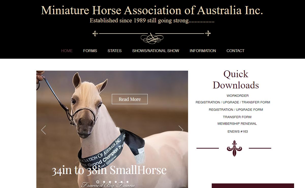 HOME | Miniature Horse Association