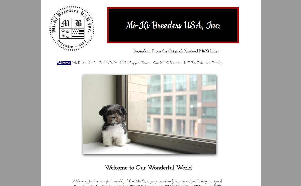 Mi-Ki Breeders USA Original Purebred Lines Mi-Kis for Sale