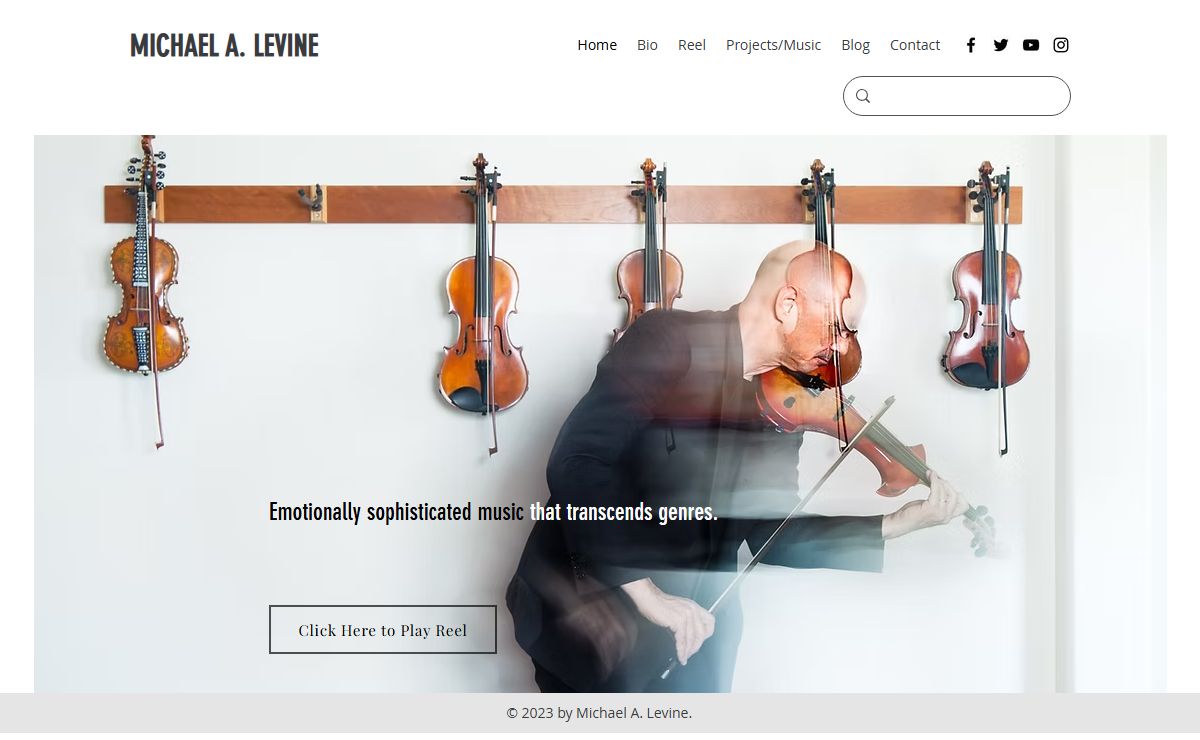 Home | MICHAEL A. LEVINE