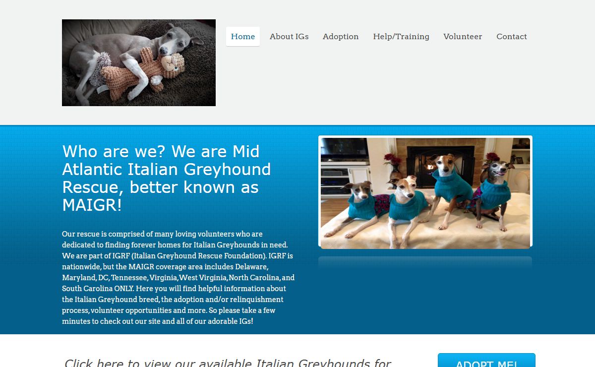 Mid Atlantic Italian Greyhound Rescue – Love IGs, Volunteer, Foster, Advocate, Adopt, Educate.
