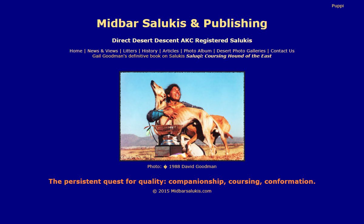 Welcome to Midbar Salukis & Publishing