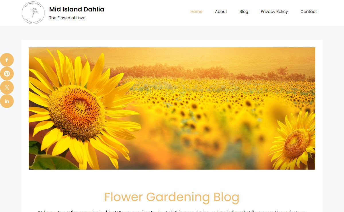 Home - Mid Island Dahlia