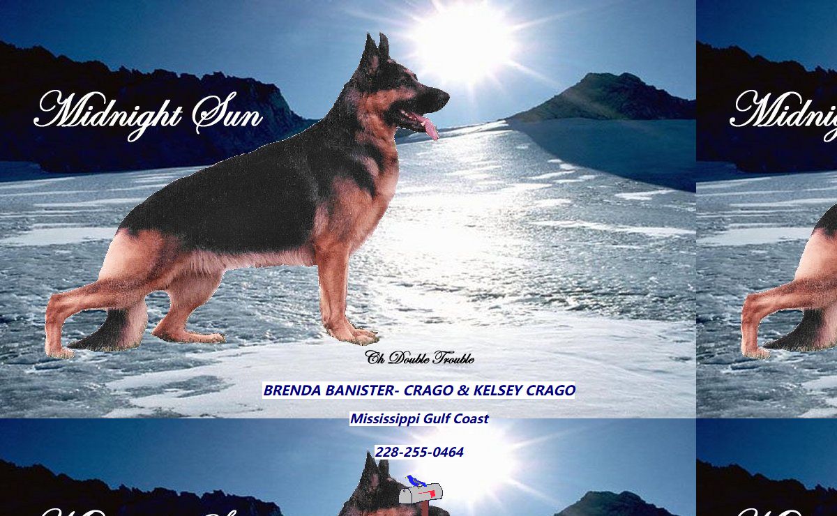 Midnight Sun Shepherds
