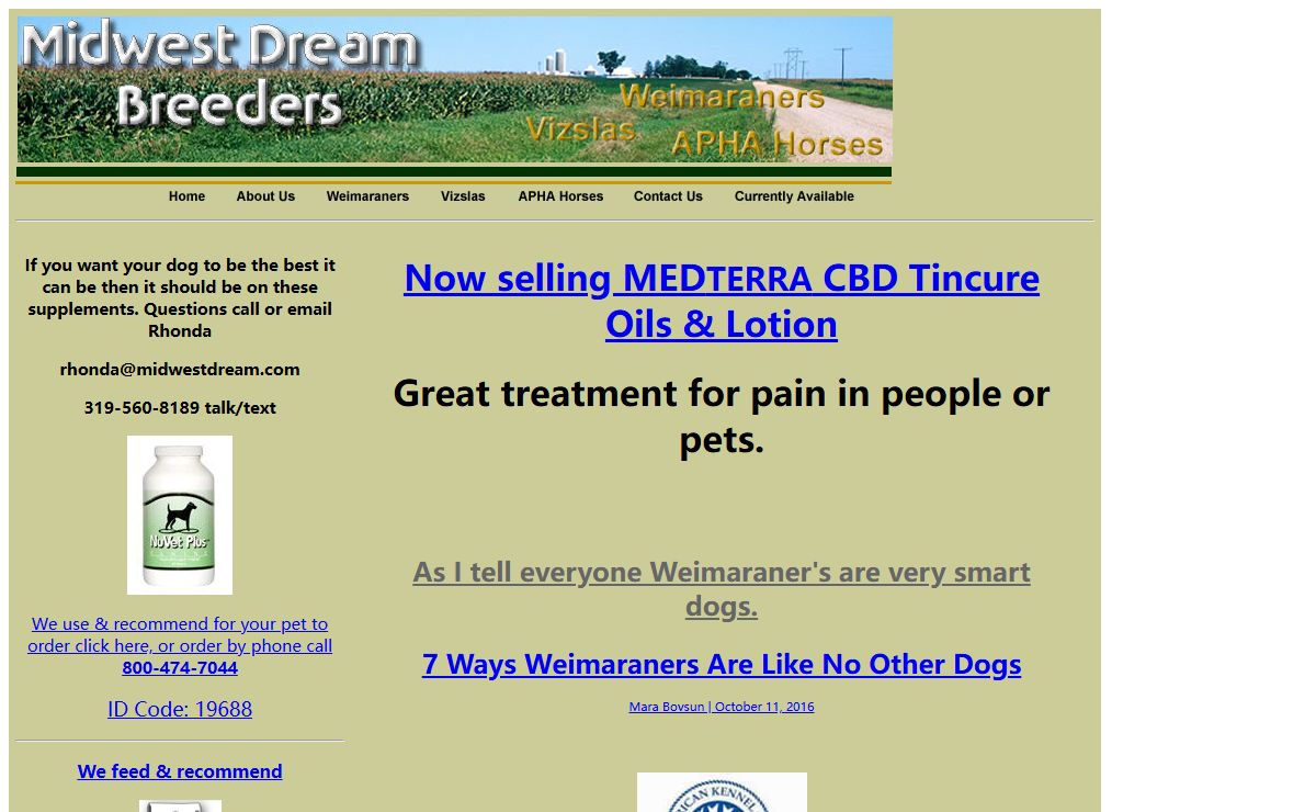 Weimaraner and Vizsla Dog Breeders - Puppies For Sale