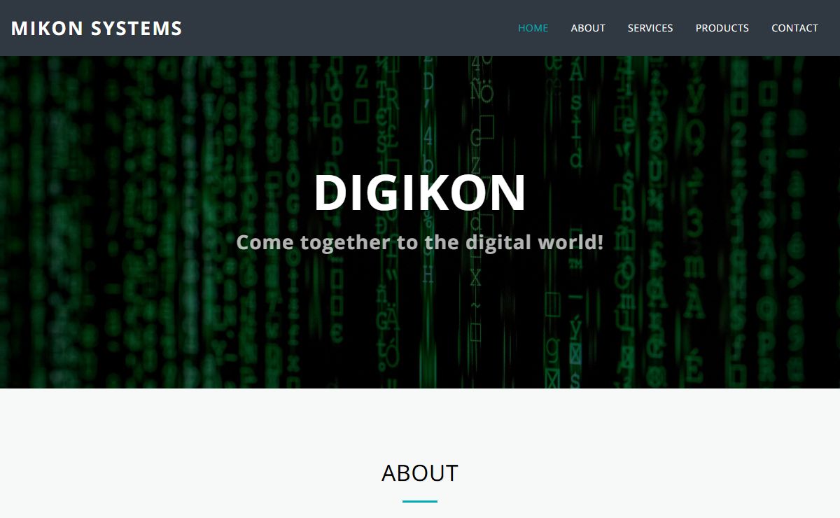 MIKON SYSTEMS
